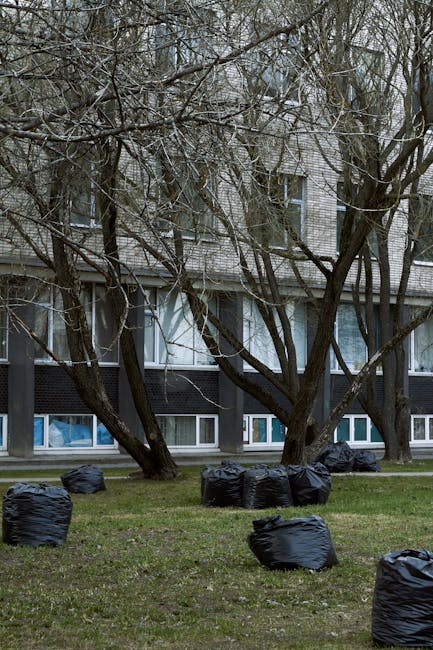 Several black rubbish bags filled with waste are scattered across a grassy area in front of a multi-storey residential building. The bags are made of thick plastic with a matte finish, and some are tightly sealed while others appear loosely tied. Behind the bags, a row of leafless trees with dark, textured bark partially obscures the building's facade, which features large windows and a combination of brickwork and paneling in shades of gray and white. The scene suggests an outdoor waste collection point, possibly related to private rubbish removal services, with the bags ready for disposal or collection. The environment is overcast, with diffuse natural light illuminating the scene evenly, creating a subdued and neutral tone. The overall composition indicates an area prepared for rubbish removal, consistent with service providers like Rubbish Removal Finchley handling waste from residential properties in the vicinity.