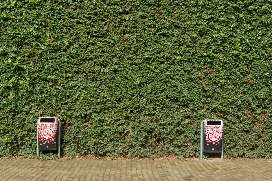 Two metal rubbish bins with rounded tops and front-opening flaps are positioned on a paved brick sidewalk in front of a dense, green hedge. The bins are black with red and white decorative patterns that resemble swirling bubbles or floral motifs. The left bin is slightly closer to the viewer, and both are situated near the base of the hedge, which extends across the background and is composed of small, tightly packed green leaves. The scene is well-lit by natural daylight, with no visible shadows, suggesting an overcast sky or diffuse sunlight. The environment appears to be a quiet, outdoor urban or suburban area, where these bins are designated for waste collection, possibly linked to an independent rubbish removal service such as Rubbish Removal Finchley, facilitating alternative waste handling options outside council-managed collections. The overall setting emphasizes cleanliness and organization, suitable for waste disposal and recycling activities.
