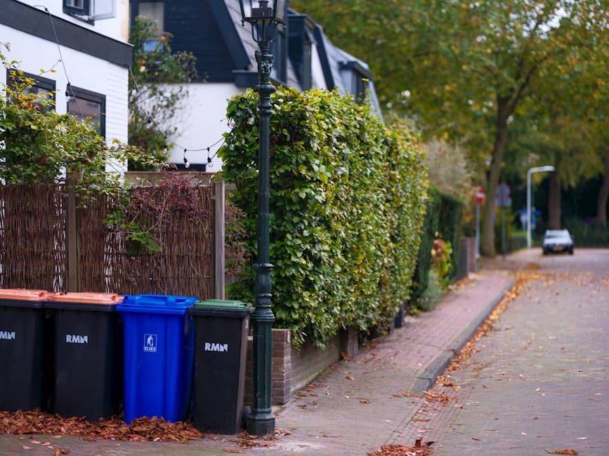 A row of three large wheelie bins positioned along a residential sidewalk next to a garden with a tall, lush hedge. The bins include two black containers with orange lids and a blue bin with a black lid, each marked with the initials 'RMN.' The bins are placed on a paved area adjacent to a low brick wall and partially shaded by a vintage-style black lamppost. Behind the hedge, a modern white building with black window frames and outdoor string lights is visible. In the background, a tree-lined street with fallen autumn leaves scattered on the pavement and a single parked car can be seen, indicating a peaceful suburban environment suitable for private waste collection and rubbish removal services, as offered by Rubbish Removal Finchley.